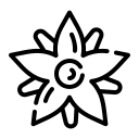 بهارنارنج