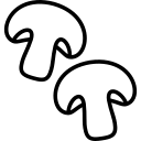 قارچ