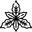 به لیمو