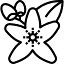 گلرنگ
