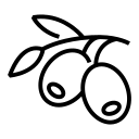 زیتون سبز