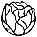 کلم بنفش